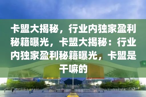 卡盟大揭秘，行业内独家盈利秘籍曝光，卡盟大揭秘：行业内独家盈利秘籍曝光，卡盟是干嘛的