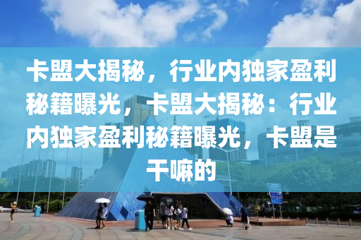 卡盟大揭秘，行业内独家盈利秘籍曝光，卡盟大揭秘：行业内独家盈利秘籍曝光，卡盟是干嘛的