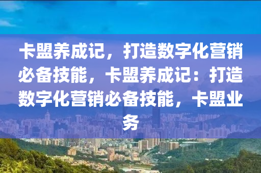 卡盟养成记，打造数字化营销必备技能，卡盟养成记：打造数字化营销必备技能，卡盟业务
