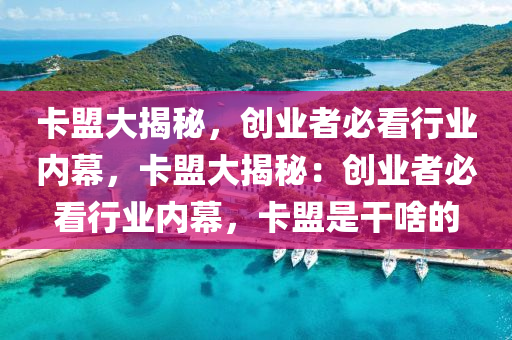 卡盟大揭秘，创业者必看行业内幕，卡盟大揭秘：创业者必看行业内幕，卡盟是干啥的