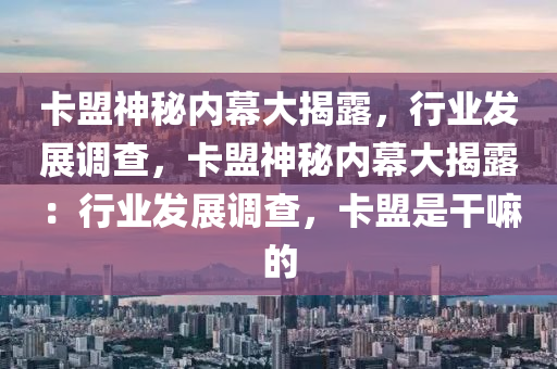 卡盟神秘内幕大揭露，行业发展调查，卡盟神秘内幕大揭露：行业发展调查，卡盟是干嘛的