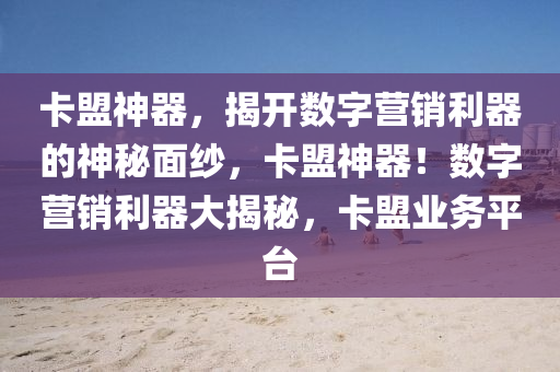 卡盟神器，揭开数字营销利器的神秘面纱，卡盟神器！数字营销利器大揭秘，卡盟业务平台