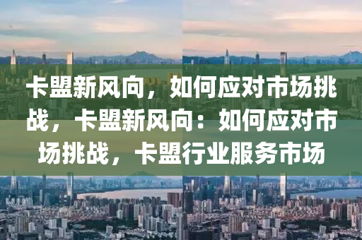 卡盟新风向，如何应对市场挑战，卡盟新风向：如何应对市场挑战，卡盟行业服务市场