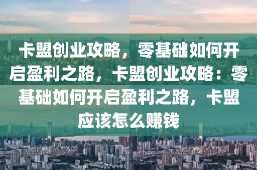 卡盟创业攻略，零基础如何开启盈利之路，卡盟创业攻略：零基础如何开启盈利之路，卡盟应该怎么赚钱