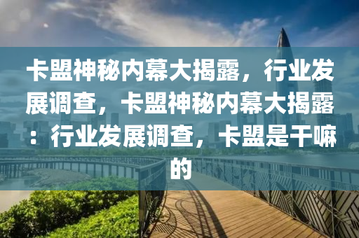 卡盟神秘内幕大揭露，行业发展调查，卡盟神秘内幕大揭露：行业发展调查，卡盟是干嘛的
