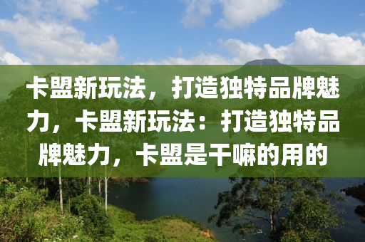 卡盟新玩法，打造独特品牌魅力，卡盟新玩法：打造独特品牌魅力，卡盟是干嘛的用的