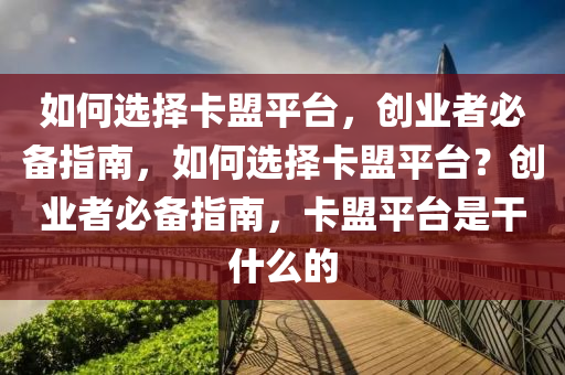 如何选择卡盟平台，创业者必备指南，如何选择卡盟平台？创业者必备指南，卡盟平台是干什么的