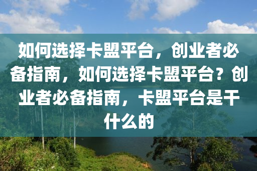 如何选择卡盟平台，创业者必备指南，如何选择卡盟平台？创业者必备指南，卡盟平台是干什么的