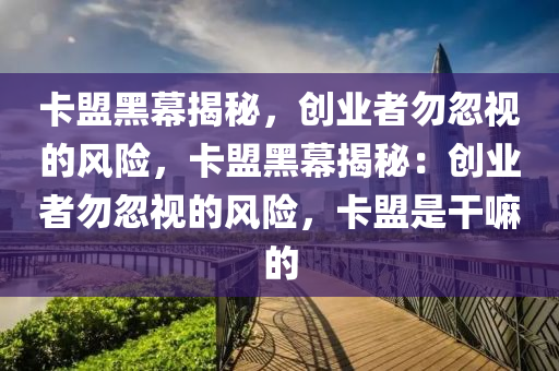 卡盟黑幕揭秘，创业者勿忽视的风险，卡盟黑幕揭秘：创业者勿忽视的风险，卡盟是干嘛的