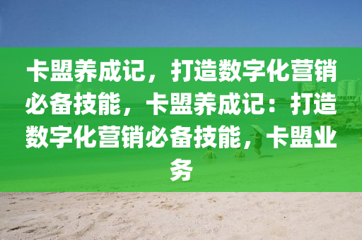 卡盟养成记，打造数字化营销必备技能，卡盟养成记：打造数字化营销必备技能，卡盟业务