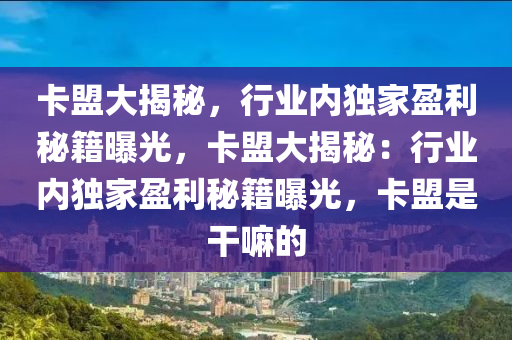 卡盟大揭秘，行业内独家盈利秘籍曝光，卡盟大揭秘：行业内独家盈利秘籍曝光，卡盟是干嘛的