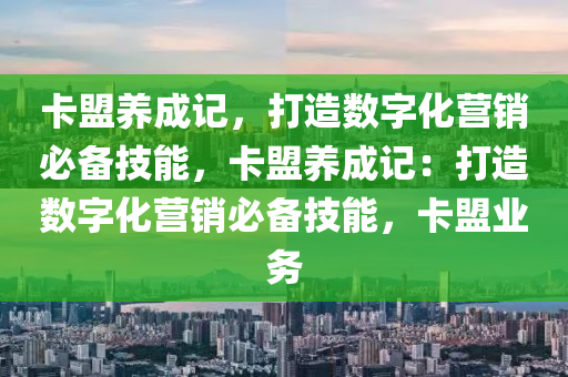 卡盟养成记，打造数字化营销必备技能，卡盟养成记：打造数字化营销必备技能，卡盟业务