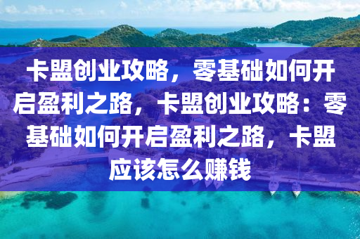 卡盟创业攻略，零基础如何开启盈利之路，卡盟创业攻略：零基础如何开启盈利之路，卡盟应该怎么赚钱