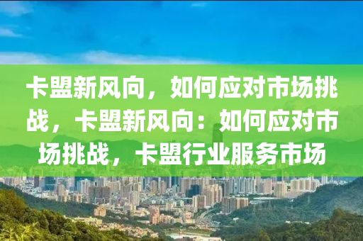 卡盟新风向，如何应对市场挑战，卡盟新风向：如何应对市场挑战，卡盟行业服务市场
