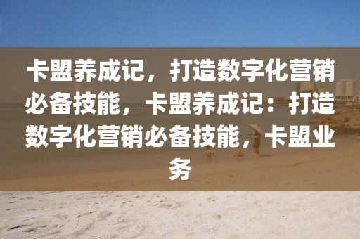 卡盟养成记，打造数字化营销必备技能，卡盟养成记：打造数字化营销必备技能，卡盟业务