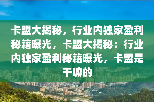 卡盟大揭秘，行业内独家盈利秘籍曝光，卡盟大揭秘：行业内独家盈利秘籍曝光，卡盟是干嘛的