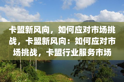 卡盟新风向，如何应对市场挑战，卡盟新风向：如何应对市场挑战，卡盟行业服务市场