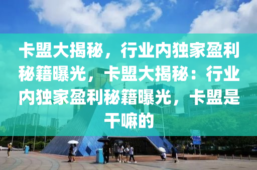 卡盟大揭秘，行业内独家盈利秘籍曝光，卡盟大揭秘：行业内独家盈利秘籍曝光，卡盟是干嘛的
