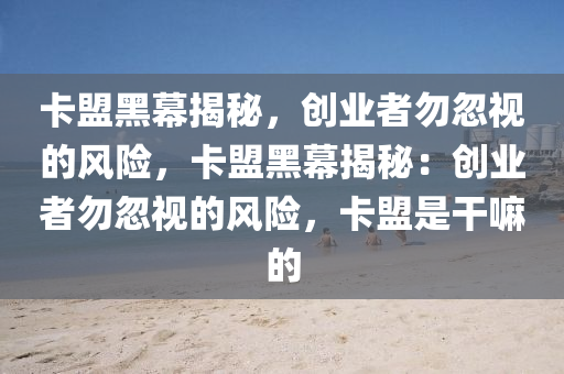 卡盟黑幕揭秘，创业者勿忽视的风险，卡盟黑幕揭秘：创业者勿忽视的风险，卡盟是干嘛的