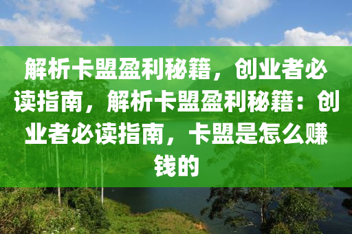 解析卡盟盈利秘籍，创业者必读指南，解析卡盟盈利秘籍：创业者必读指南，卡盟是怎么赚钱的
