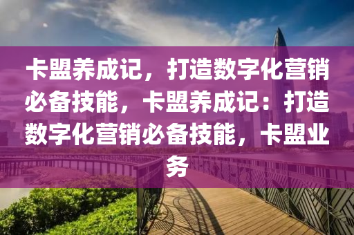 卡盟养成记，打造数字化营销必备技能，卡盟养成记：打造数字化营销必备技能，卡盟业务