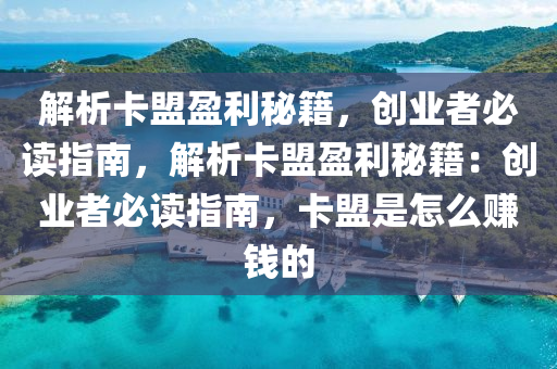 解析卡盟盈利秘籍，创业者必读指南，解析卡盟盈利秘籍：创业者必读指南，卡盟是怎么赚钱的