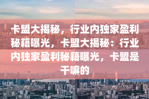 卡盟大揭秘，行业内独家盈利秘籍曝光，卡盟大揭秘：行业内独家盈利秘籍曝光，卡盟是干嘛的