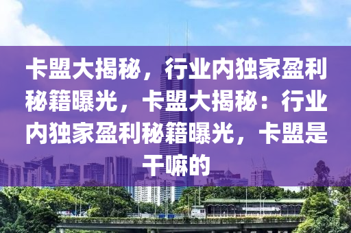 卡盟大揭秘，行业内独家盈利秘籍曝光，卡盟大揭秘：行业内独家盈利秘籍曝光，卡盟是干嘛的