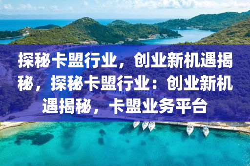 探秘卡盟行业，创业新机遇揭秘，探秘卡盟行业：创业新机遇揭秘，卡盟业务平台