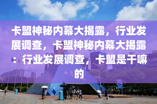 卡盟神秘内幕大揭露，行业发展调查，卡盟神秘内幕大揭露：行业发展调查，卡盟是干嘛的