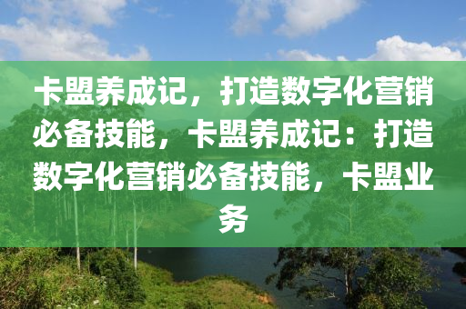 卡盟养成记，打造数字化营销必备技能，卡盟养成记：打造数字化营销必备技能，卡盟业务