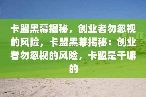 卡盟黑幕揭秘，创业者勿忽视的风险，卡盟黑幕揭秘：创业者勿忽视的风险，卡盟是干嘛的