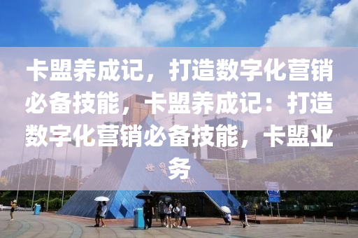 卡盟养成记，打造数字化营销必备技能，卡盟养成记：打造数字化营销必备技能，卡盟业务