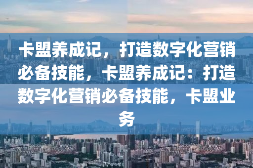卡盟养成记，打造数字化营销必备技能，卡盟养成记：打造数字化营销必备技能，卡盟业务