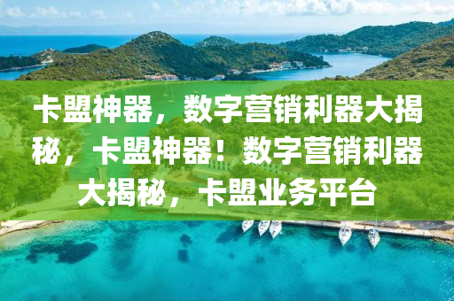 卡盟神器，数字营销利器大揭秘，卡盟神器！数字营销利器大揭秘，卡盟业务平台