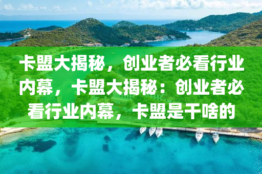 卡盟大揭秘，创业者必看行业内幕，卡盟大揭秘：创业者必看行业内幕，卡盟是干啥的