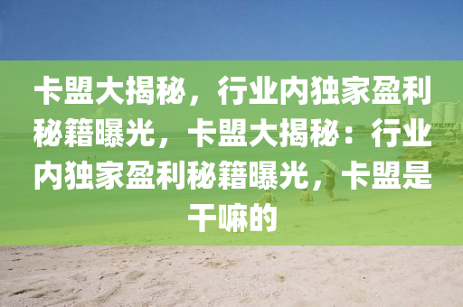 卡盟大揭秘，行业内独家盈利秘籍曝光，卡盟大揭秘：行业内独家盈利秘籍曝光，卡盟是干嘛的