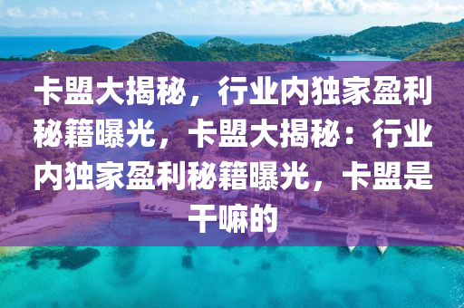 卡盟大揭秘，行业内独家盈利秘籍曝光，卡盟大揭秘：行业内独家盈利秘籍曝光，卡盟是干嘛的