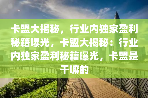 卡盟大揭秘，行业内独家盈利秘籍曝光，卡盟大揭秘：行业内独家盈利秘籍曝光，卡盟是干嘛的