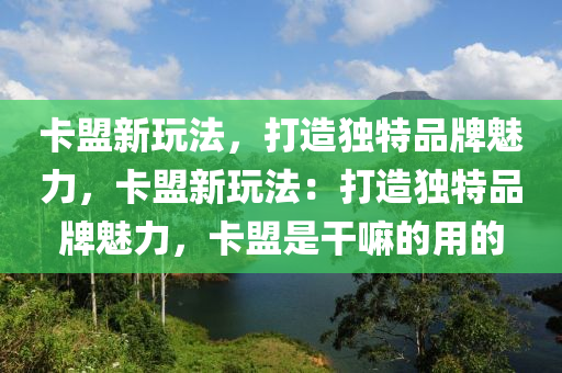 卡盟新玩法，打造独特品牌魅力，卡盟新玩法：打造独特品牌魅力，卡盟是干嘛的用的