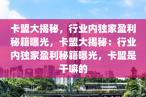卡盟大揭秘，行业内独家盈利秘籍曝光，卡盟大揭秘：行业内独家盈利秘籍曝光，卡盟是干嘛的