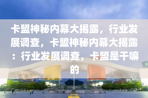 卡盟神秘内幕大揭露，行业发展调查，卡盟神秘内幕大揭露：行业发展调查，卡盟是干嘛的