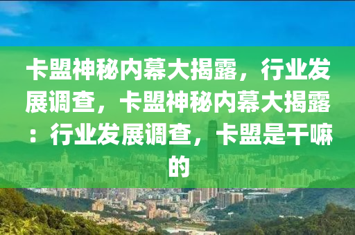 卡盟神秘内幕大揭露，行业发展调查，卡盟神秘内幕大揭露：行业发展调查，卡盟是干嘛的