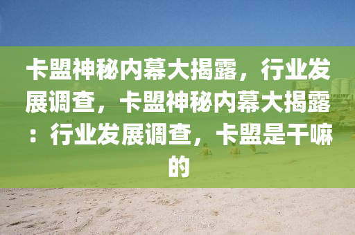 卡盟神秘内幕大揭露，行业发展调查，卡盟神秘内幕大揭露：行业发展调查，卡盟是干嘛的