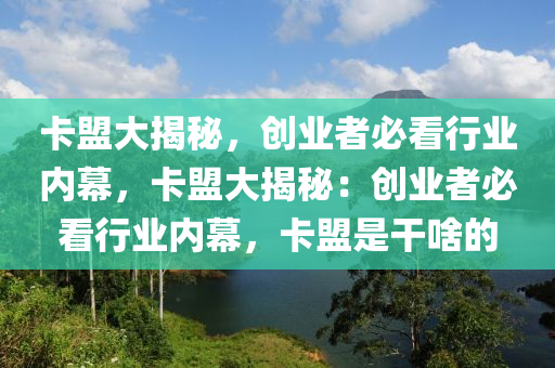 卡盟大揭秘，创业者必看行业内幕，卡盟大揭秘：创业者必看行业内幕，卡盟是干啥的
