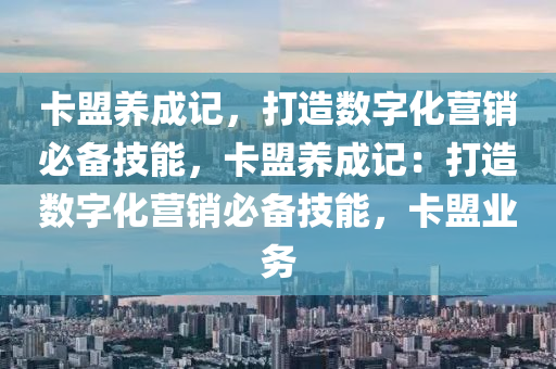 卡盟养成记，打造数字化营销必备技能，卡盟养成记：打造数字化营销必备技能，卡盟业务