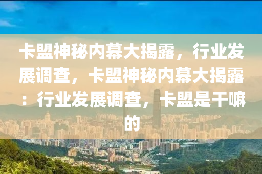 卡盟神秘内幕大揭露，行业发展调查，卡盟神秘内幕大揭露：行业发展调查，卡盟是干嘛的