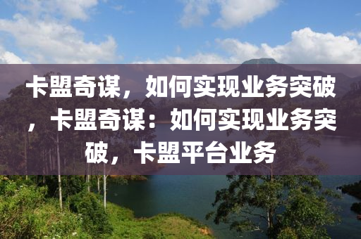 卡盟奇谋，如何实现业务突破，卡盟奇谋：如何实现业务突破，卡盟平台业务