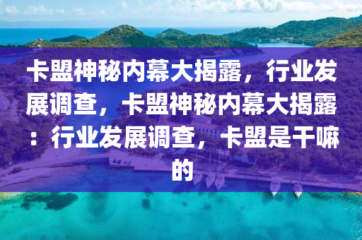 卡盟神秘内幕大揭露，行业发展调查，卡盟神秘内幕大揭露：行业发展调查，卡盟是干嘛的