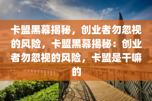 卡盟黑幕揭秘，创业者勿忽视的风险，卡盟黑幕揭秘：创业者勿忽视的风险，卡盟是干嘛的